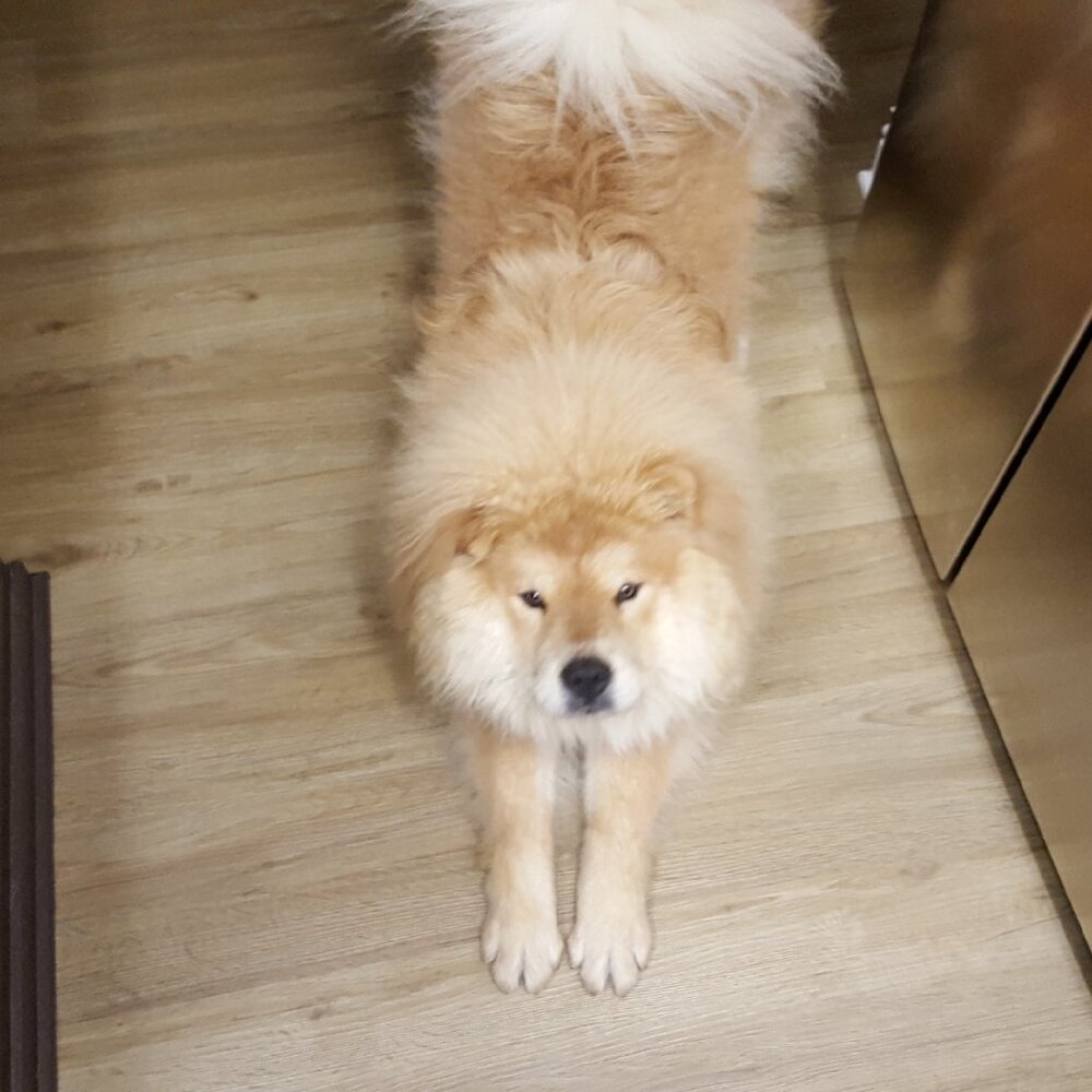 Meet your Posher, Kristi